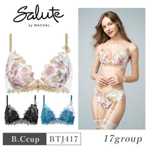 WACOAL ワコール サルート 17グループ PTJ717 Wacoal salute 17G