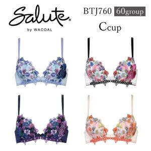 サルート　ブラジャー＆tバック　売り 楽天市場】サルート tバック lサイズ（インナー・下着