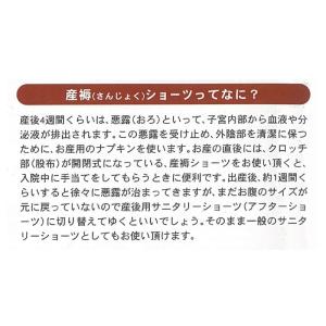 犬印本舗 マタニティ産褥ショーツ C1027 ...の詳細画像4