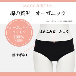 ワコール ウイング ハイレッグショーツ EC2...の詳細画像3
