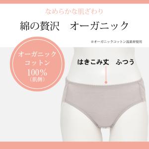 ワコール ウイング ハイレグショーツ EC21...の詳細画像2
