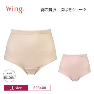 ワコール ウイング ノーマルショーツ EC340...の商品画像