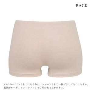 ワコール Wacoal ウイング wing E...の詳細画像1