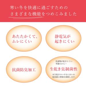 ワコール Wacoal ウイング wing E...の詳細画像2