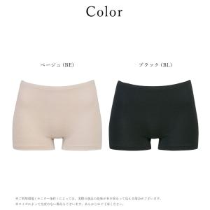 ワコール Wacoal ウイング wing E...の詳細画像4