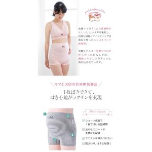 犬印 犬印本舗 INUJIRUSHI 腹帯 腹...の詳細画像3