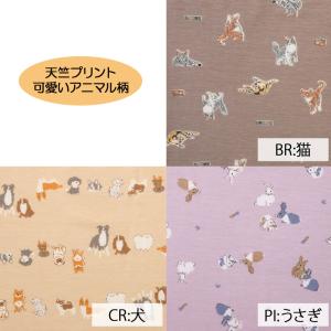 ワコール 産前 妊婦帯 MRP380 パンツタ...の詳細画像4