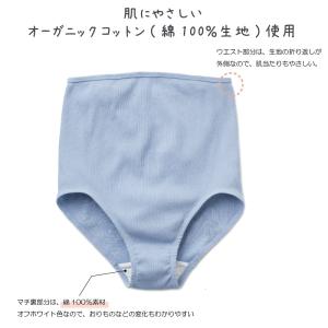 送料無料 犬印本舗 マタニティ ショーツ SH...の詳細画像4