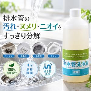 排水管洗浄液 1L 排水管 排水溝 消臭 除菌 ...の商品画像
