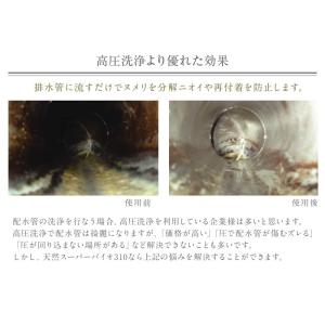 排水管洗浄液 1L 排水管 排水溝 消臭 除菌...の詳細画像2