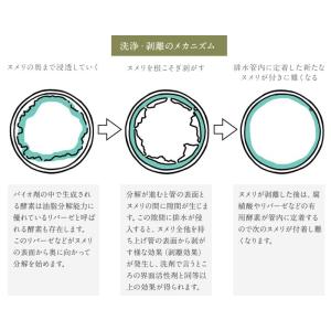 排水管洗浄液 1L 排水管 排水溝 消臭 除菌...の詳細画像3