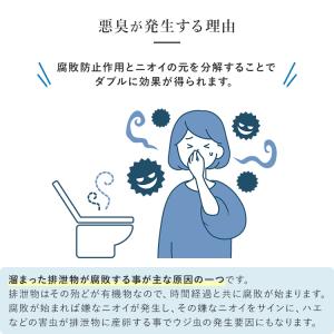 浄化槽 消臭剤 1L+パウダー300g 汲み取...の詳細画像3