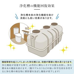 浄化槽 消臭剤 1L+パウダー300g 汲み取...の詳細画像5