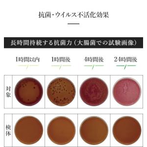 除菌剤 消臭剤 スプレー 50ml 携帯用 お...の詳細画像4
