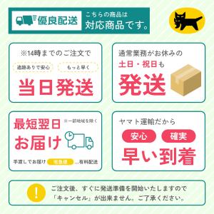 ポイント15倍!!ミシン 初心者 安い ジャノ...の詳細画像1