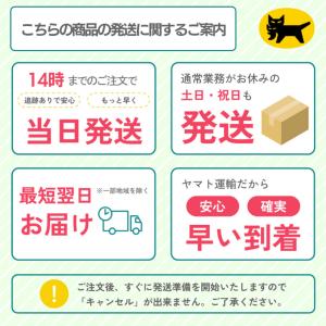 P5倍★ ミシン 初心者 コンピューターミシン...の詳細画像1