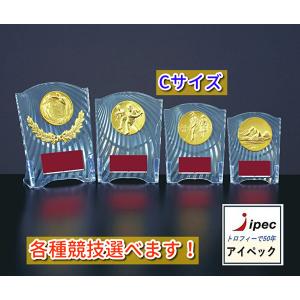 盾　高さ14cm トロフィー Cサイズ  CCL-5553C 　野球　サッカー　卒業　バスケ　バレー...