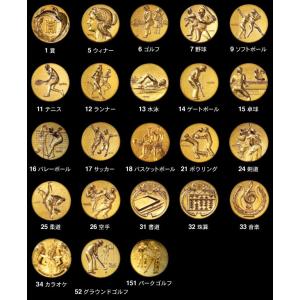 トロフィー 盾 CCL-5553D 楯 高さ1...の詳細画像1