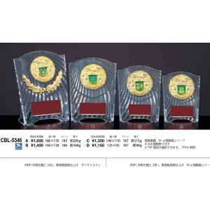 盾 表彰楯 13cm Dサイズ CCL-554...の詳細画像1