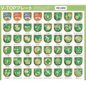 盾 表彰楯 13cm Dサイズ CCL-554...の詳細画像2