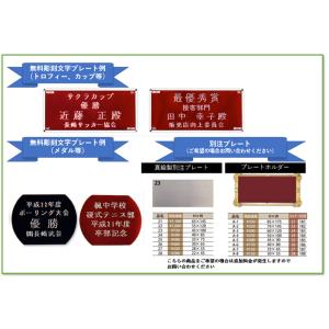 盾 トロフィー 高さ14cm Cサイズ トロフ...の詳細画像3