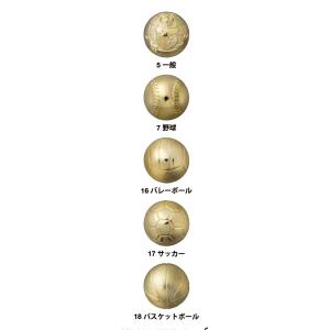 盾 高さ18cm Aサイズ 表章楯 CCL-5...の詳細画像1