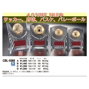 盾 高さ18cm Aサイズ 表章楯 CCL-5...の詳細画像3