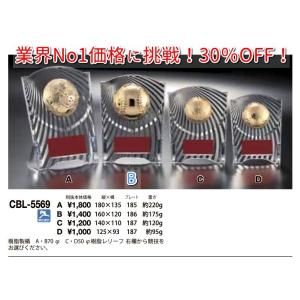 盾 高さ16cm 表章楯 Bサイズ CCL-5...の詳細画像3