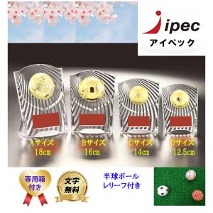 盾 高さ13cm トロフィー  Dサイズ CCL-5569D 表章楯　野球　サッカー　バスケ　バレー