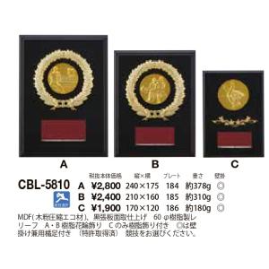 トロフィー/表彰状/楯の販売 AwardStyle