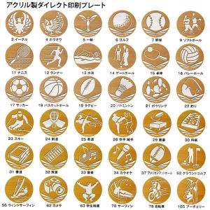 7cm豪華 メダル LMD-70B ソフトケー...の詳細画像2