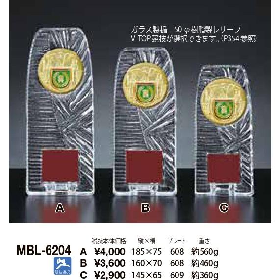盾 ガラス トロフィー 表彰　表彰楯   MCL-6204B Bサイズ　ガラス　ゴルフ　イベント　野...