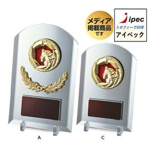 表彰盾 Aサイズ　高さ22ｃｍ　VS-5210-A 記念　楯　野球　サッカー　卒業　盾