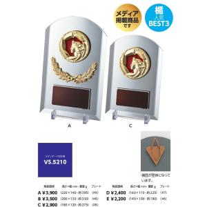 表彰盾 Aサイズ 高さ22cm VS-5210...の詳細画像1
