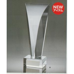 25-26 D:RECT スノーゴーグル ASTON:2 DN13: 正規品/ディレクト