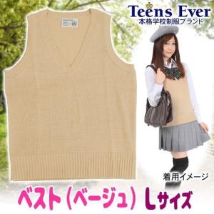 制服 ベスト スクールベスト スクールニット Vネック 無地 高校 私服校