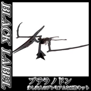 hacomo / BLACK LABEL プテラノドン(ブラック)  /恐竜 ダンボール工作 知育玩...