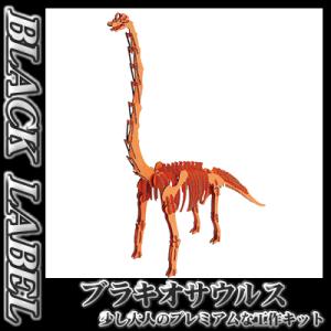 hacomo / BLACK LABEL ブラキオサウルス(オレンジ)   /恐竜 ダンボール工作 ...