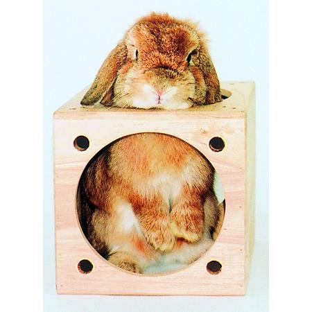 川井　KAWAI　キューブハウス うさぎ　チンチラ　ハウス