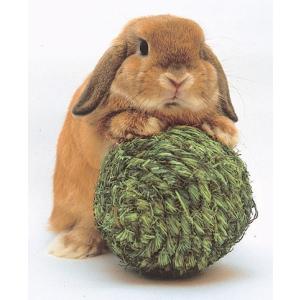 カワイ 情熱ほりほり ココナッツランド うさぎ モルモット チンチラ