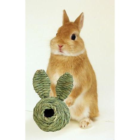 川井　うさぎボール　うさぎ　モルモット　おもちゃ