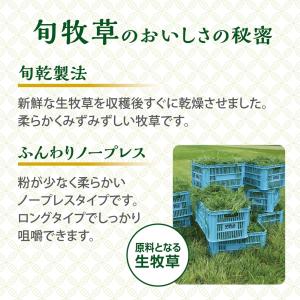 旬牧草 イタリアンライグラス 300g うさぎ...の詳細画像5