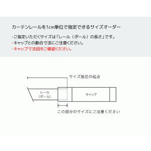 トーソー シーリングレール シエロミニ シング...の詳細画像1
