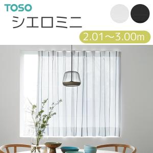 TOSO（トーソー） カーテンレール コルーナIIセット 3.10m シルバー
