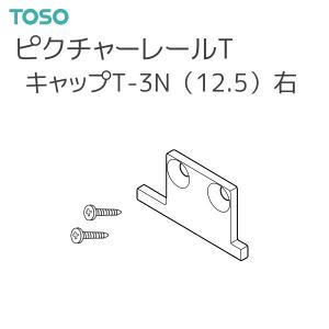 トーソー ピクチャーレール T 部品 キャップ T-3N（12.5）右 （ネジ止め式：横）厚さ:2mm（1コ）ナチュラル ホワイト