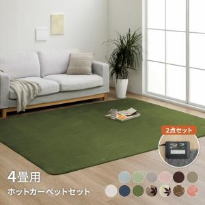 Panasonic（パナソニック） 着せ替えカーペット セットタイプ 2畳相当