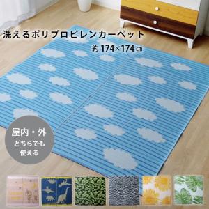 防ダニ洗えるPPラグ 約174cm