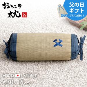 NEW ボディチューニングピロー エアトラス Pro 枕本体/1個 : は