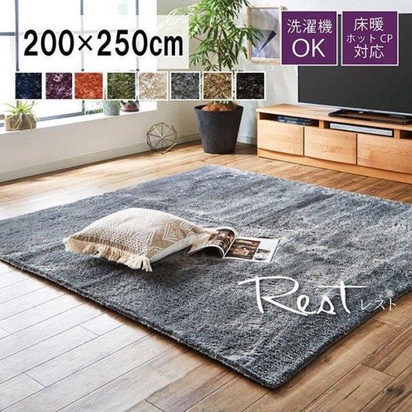 ラグ カーペット ラグマット 春 夏 レスト 200×250cm シャギー調 ホットカーペット対応 ...