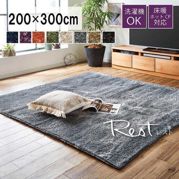 ラグ カーペット ラグマット 春 夏 レスト 200×300cm シャギー調 ホットカーペット対応 ...